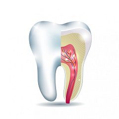 General Anesthesia Can Be Used as Necessary
