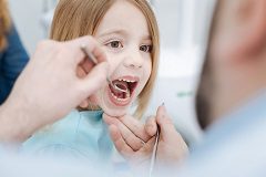 Immediately Following the Eruption of the Adult Teeth