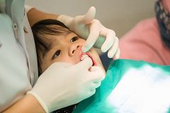 Treatments Can Be Applied Up To Every Three Months